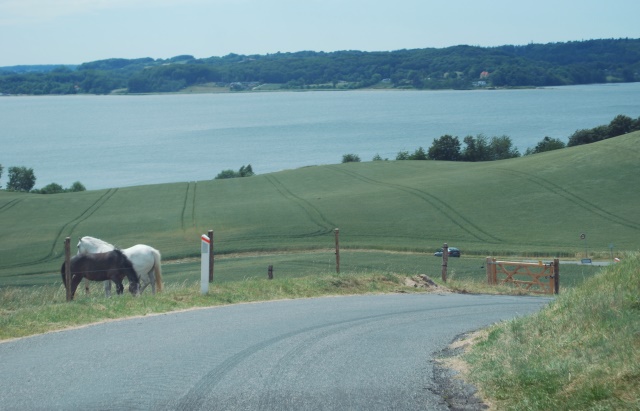 Askebjerg = Daugård Strand