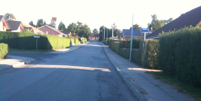 Bjørnebjergene