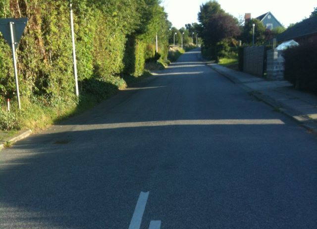 Bjørnebjergene