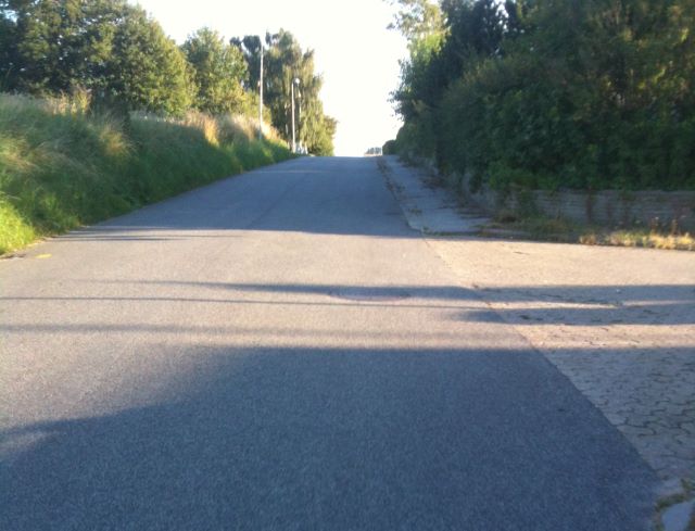 Bjørnebjergene