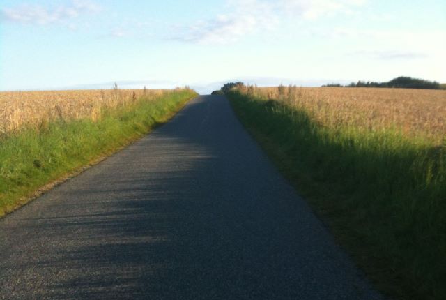 Bjørnebjergene