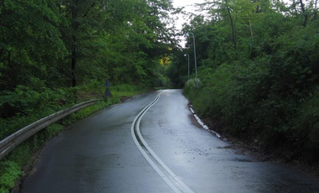 Bøgeagervej