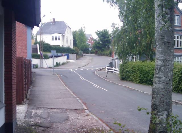 Bregnedalsvej