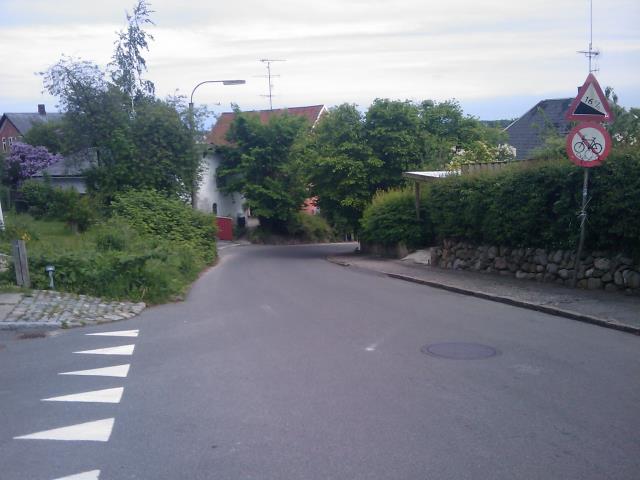 Bregnedalsvej