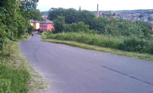 Bregnedalsvej