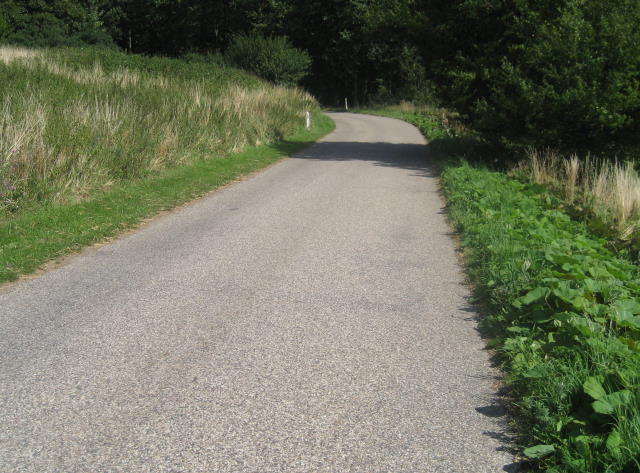 Brorfeldebakken (Væverbakke)