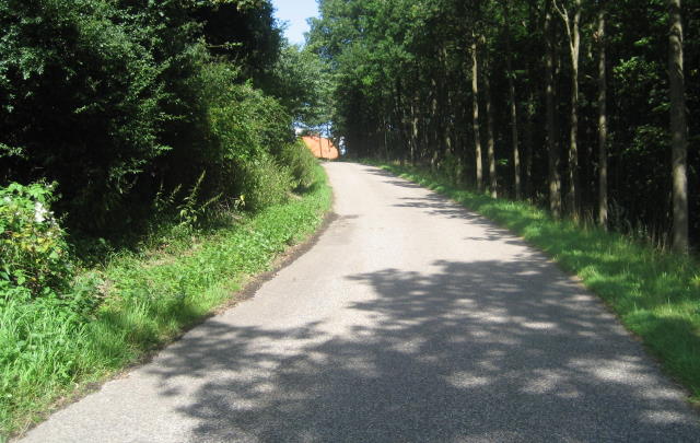 Brorfeldebakken (Væverbakke)