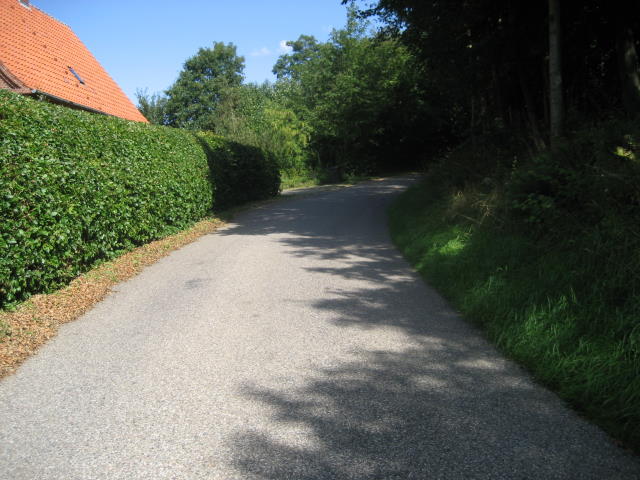 Brorfeldebakken (Væverbakke)