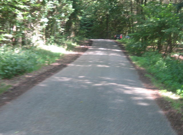 Brorfeldebakken (Væverbakke)