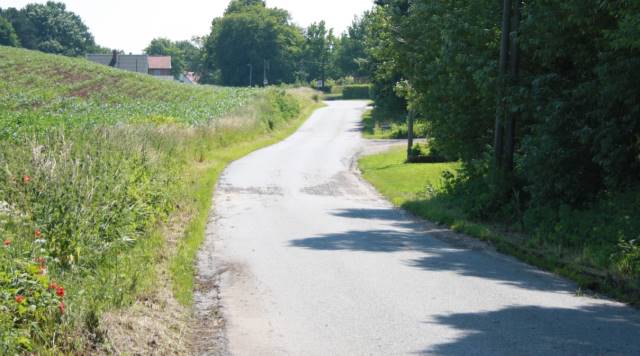 Buerupvej