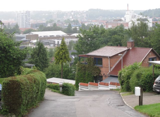 Dornsvej
