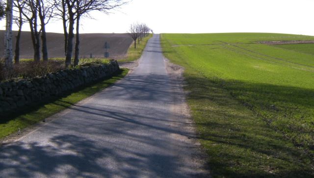 Falkensteenvej