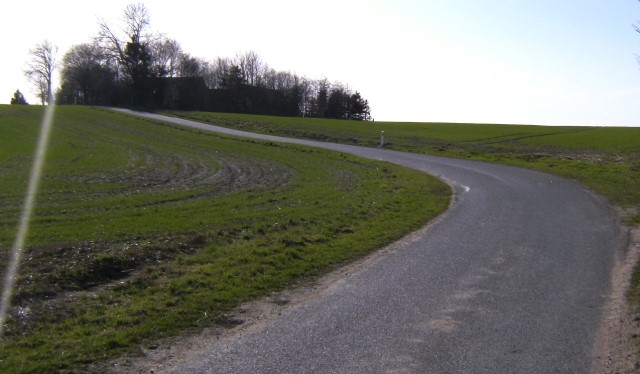 Falkensteenvej