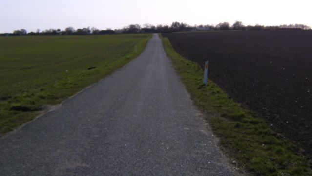 Falkensteenvej