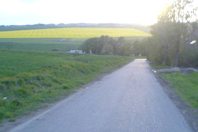 Galtenvej