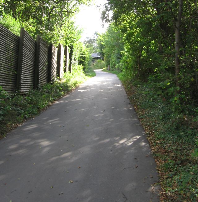 Grævlingehøj