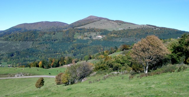 Grand Ballon (Cernay)