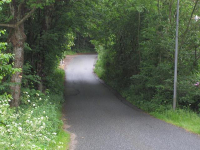 Højen Skovvej (fra Ribe Landevej)