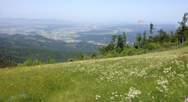 Kandel (Waldkirch)