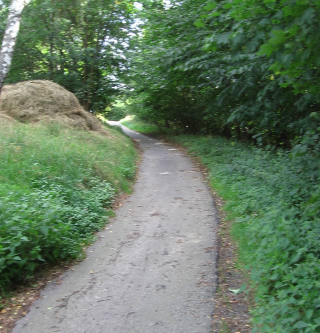 Kastaniealle