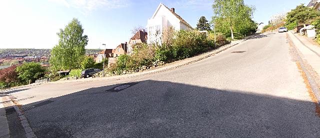 Gl. Kongevej/Chr. Winthersvej (Kongebakken)