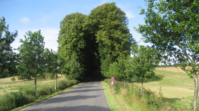 Ledreborg Alle (Vest)