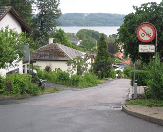 Mølgårdsvej