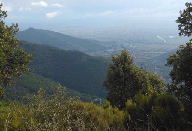 Monte Serra (Calci)