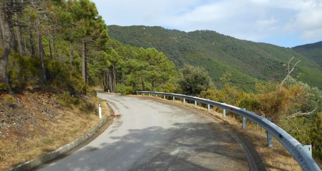 Monte Serra (Calci)