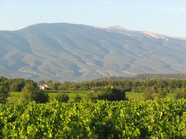 Mont Ventoux (Bedoin)