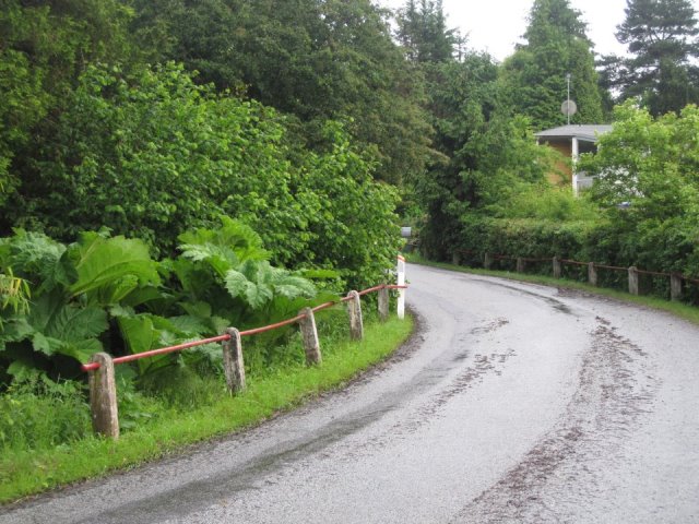 Op til golfbanen (Ibækvej)