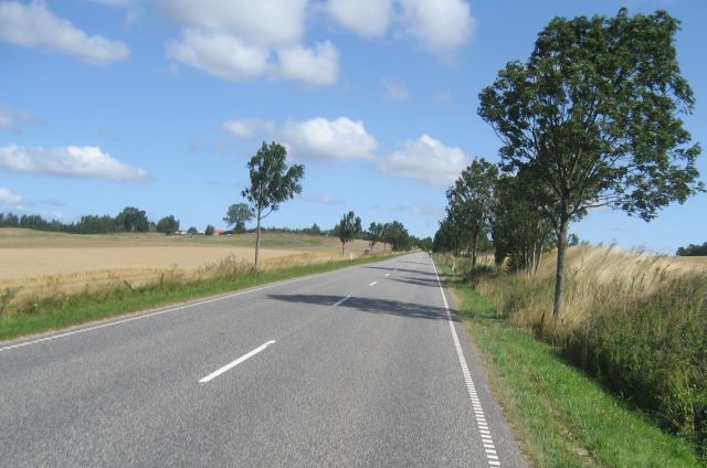 Ordrupbakken (Elverdam)