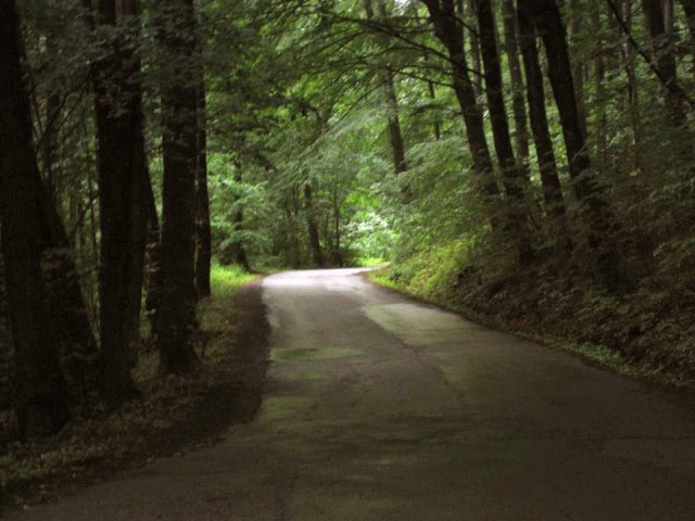Østengård