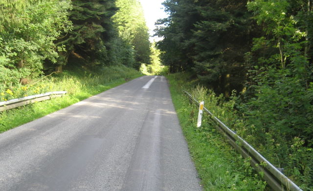 Skjoldenæsbakken
