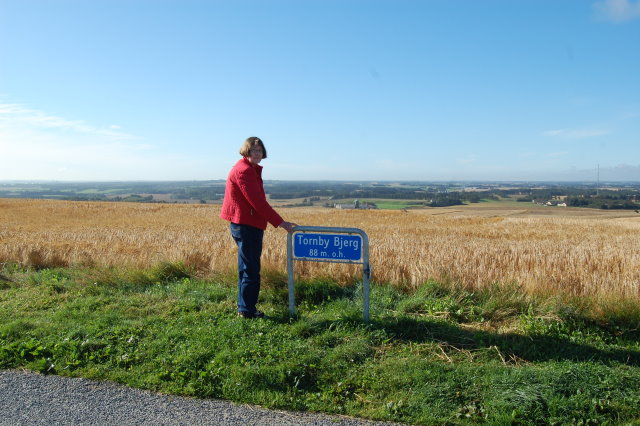 Tornby Bjerg