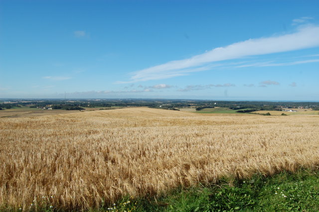 Tornby Bjerg