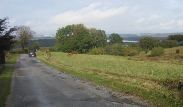 Tushøj (Lyngebakken)