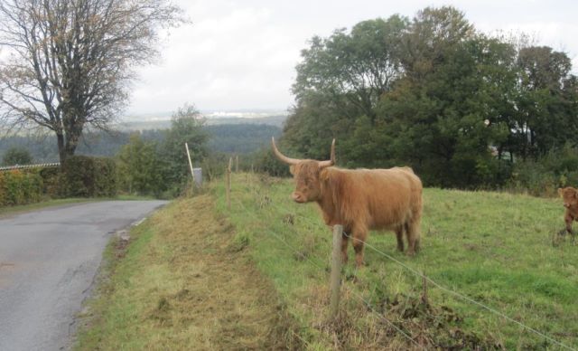Tushøj (Lyngebakken)