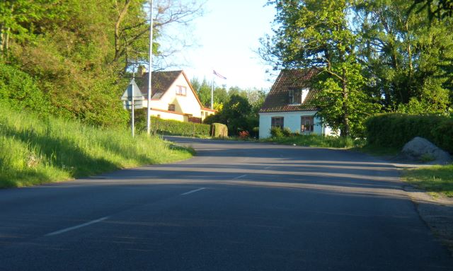 Vang