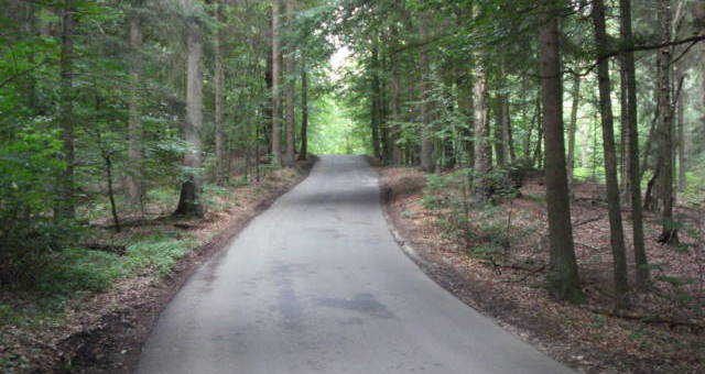 Vigen Skovvej