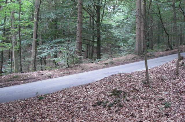 Vigen Skovvej