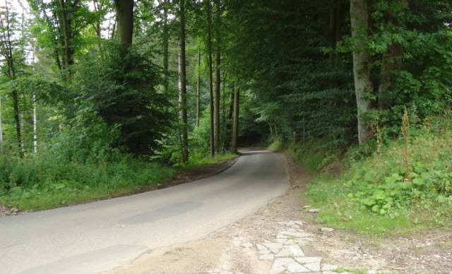 Vigen Skovvej